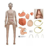 Manequim Bissexual Para Treino De Enfermagem Resgate Aph