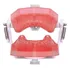 Manequim De Endodontia Pd 107   Pronew