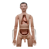 Manequim De Enfermagem P