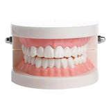 Dentista