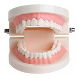 Dentista