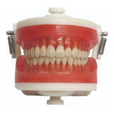Dentistica