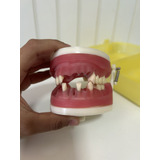 Manequim Usado Pronew Periodontia