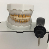 Manequins De Prótese Dentística Periodontia Dentes