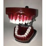 Manequins Prótese Dentário De Ortodontia Jm