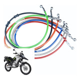 Cb300