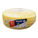 Tigre
