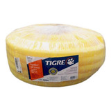 Tigre