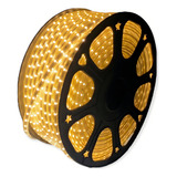 Mangueira De Led Chata Branco Frio E Branco Quente Luz Branco quente 110v