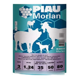 morlan
