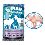 morlan