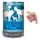 Morlan