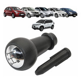 Manopla Bola Alavanca Cambio Peugeot 307 Citroen C3 C4 Top 