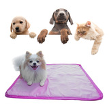 Manta Aquecedora Elétrica Gato Cachorro Pets 220v 60x60 Rosa