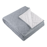 Manta Fleece Solteiro Dupla Face Lepper 1 60x2 40m Cinza