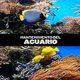 Mantenimiento Del Acuario 