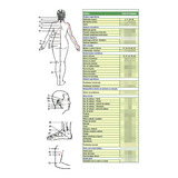 Manual Caneta Acupuntura Em Português Pdf Mapa De Pontos