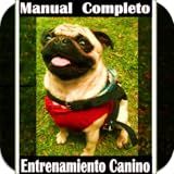 Canino