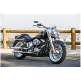 Manual De Serviço Moto Harley Davidson Modelo Softail 2016