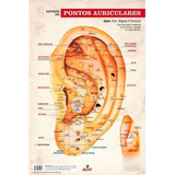 Mapa Acupuntura Auricular Pôster Pontos Auriculares