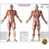 Humano