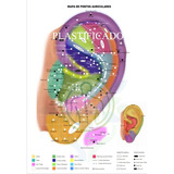 Mapa Auricoloterapia Pontos Auriculares Auriculoacupuntura Chinesa E Francesa