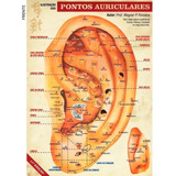 Mapa Auriculoterapia Pôster Pontos Acupuntura Auricular A1