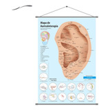Mapa Banner 90x60 Cm Auricoloterapia Chinesa Acupuntura Auricular Prof Elaine Medeiros Poster Grande