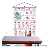 Mapa Corpo Humano Banner