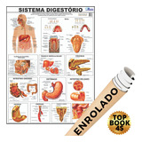 Mapa Corpo Humano Sistema Digestório Digestivo Enrolado 