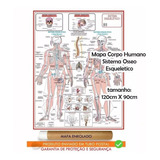 Mapa Corpo Humano Sistema Esquelético I