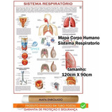 Mapa Corpo Humano Sistema Respiratorio 120x90