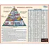 Mapa Da Pirâmide Alimentar - Guia De Calorias - Livro Para Estudos De Nutrição Saúde Dieta E Alimentos - Restaurante Faculdade Gastronomia - Tamanho Grande 60cm X 48cm Dobrado - Equipe Multivendas