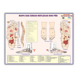 Mapa Da Reflexologia Dos