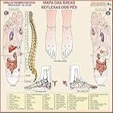 MAPA DAS ÁREAS REFLEXAS DOS PÉS   REFLEXOLOGIA   GIGANTE  LARGURA 117 CM X ALTURA 89 CM