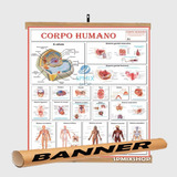 Mapa Do Corpo Humano 120x90 Banner Pendurar A Sua Escolha