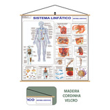 Laminado