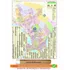 Mapa Geo Político Da Cidade De Maceió - Enrolado Tubo Postal