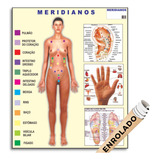 Mapa Meridianos Acupuntura Orelha Mão Pés