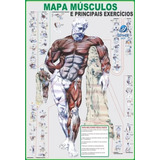 Mapa Músculo Exercício Academia Treino Corpo Humano Anatomia
