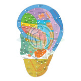 Mapa Pontos Auriculares Auricoloterapia