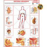 Medicina