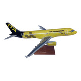 Maquete De Avião Em Resina A 319 Itapemirim 36 Cm