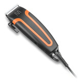 110v