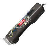 Bivolt