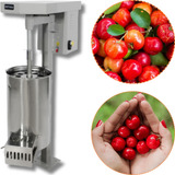 Maquina Despolpadeira De Acerola