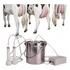 Maquina Pratica De Ordenhar Vacas 5 Litros