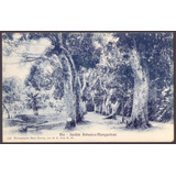 Marc Ferrez - Jardim Botânico - 19051722