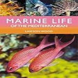 Marine Life Of The