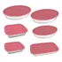 Marinex Conjunto 6 Peças Assadeiras Com Tampa Cor Rosa
